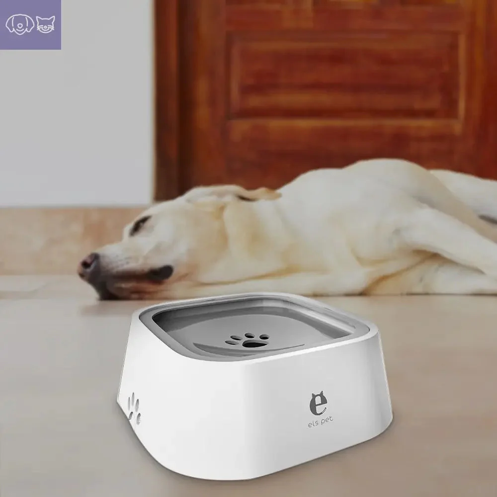 SplashPup™ - Image 4