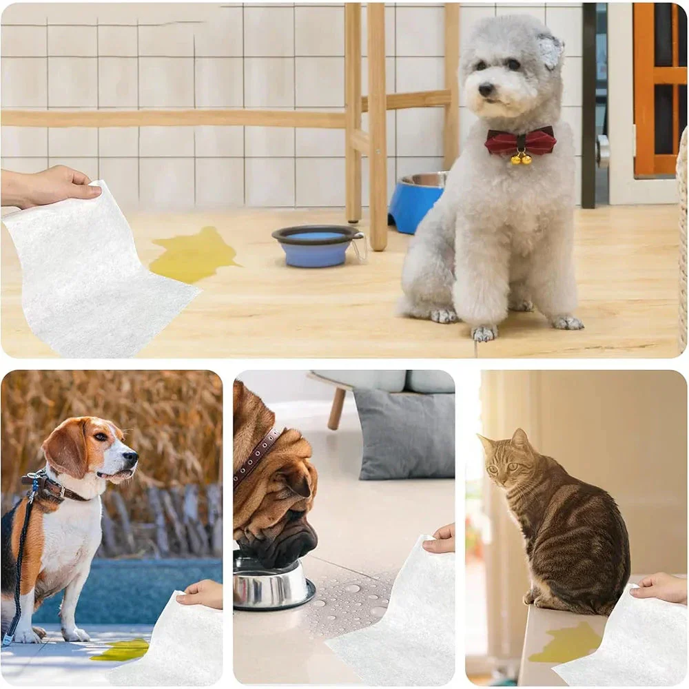 PeeGone Pad™ 100PCS/Bag - Image 6