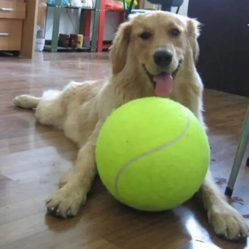 BarkBall™ - Image 5
