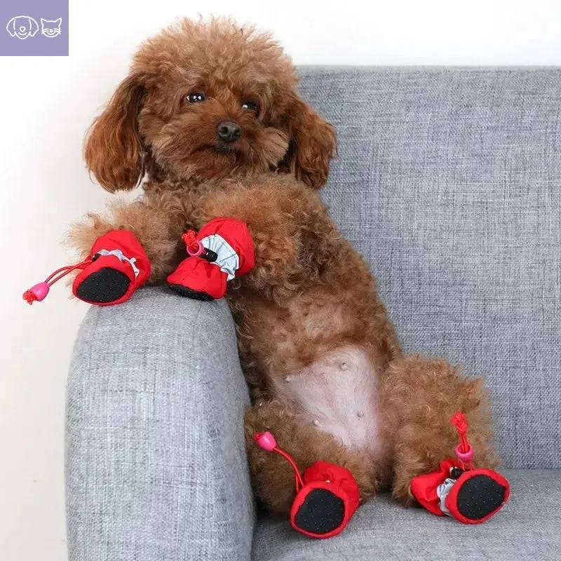 4pcs/set Waterproof Pet Dog Shoes - Image 6