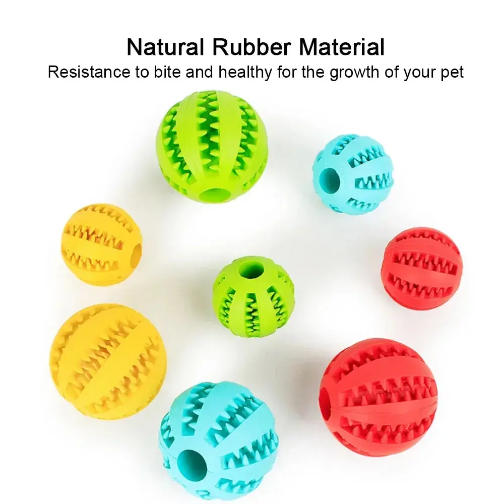 CHEW BUDDY INTERACTIVE DOG TOY - Image 5