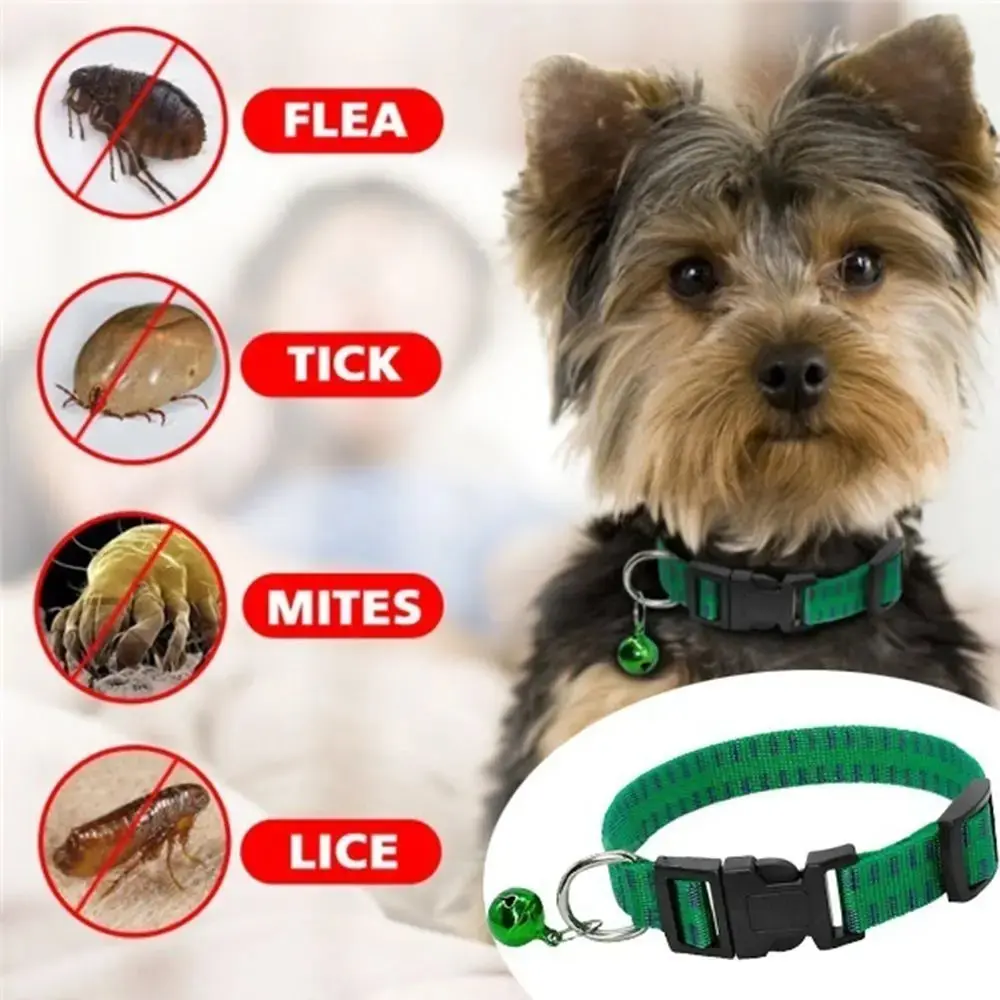 Anti Flea Collar – Nylon Adjustable Kill Insect Mosquitoes and Ticks for Dogs