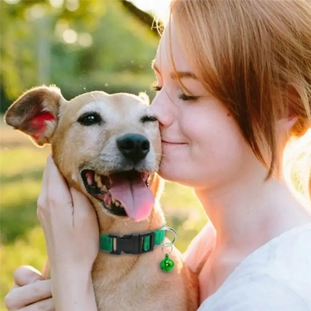 Anti Flea Collar – Nylon Adjustable Kill Insect Mosquitoes and Ticks for Dogs - Image 2