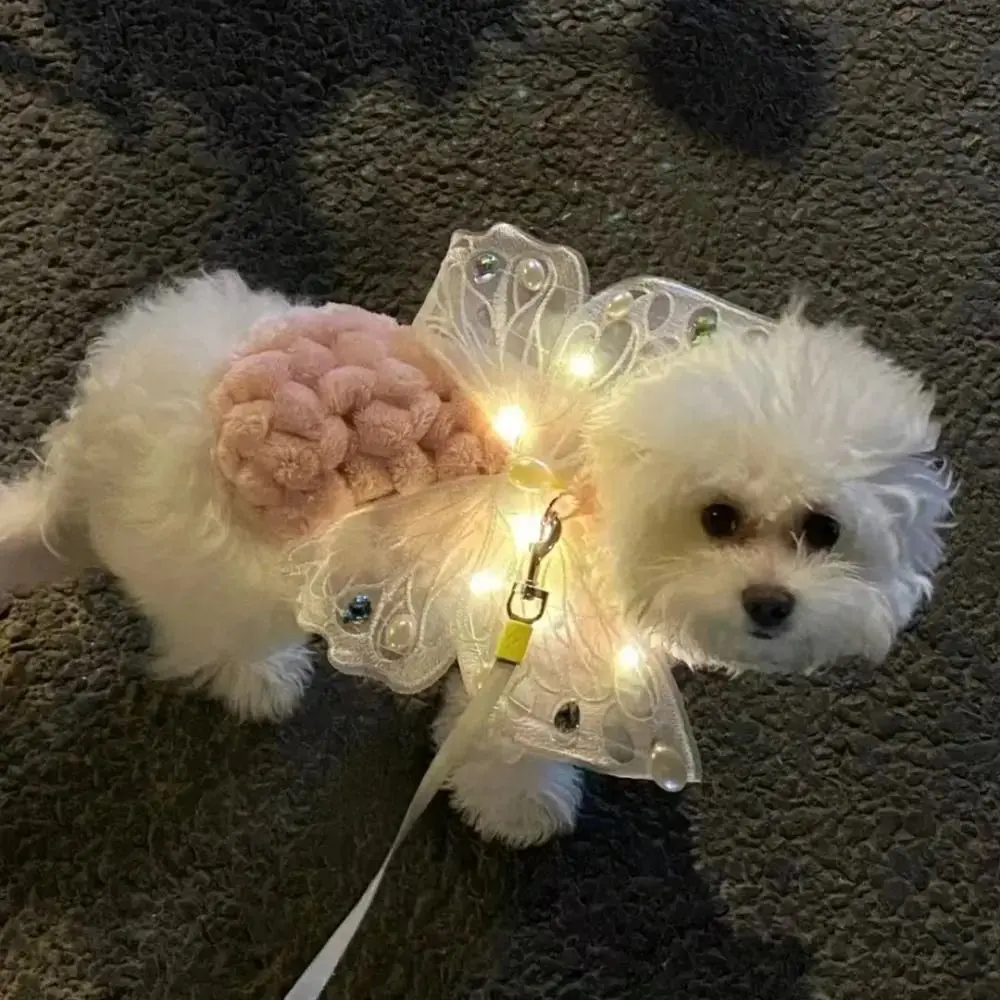 Halloween Glowing Butterfly Wings for Pets - Image 2
