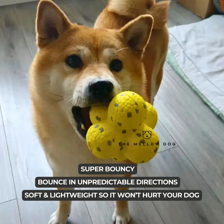 RelaxOrb™ Calming Dog Toy - Image 5
