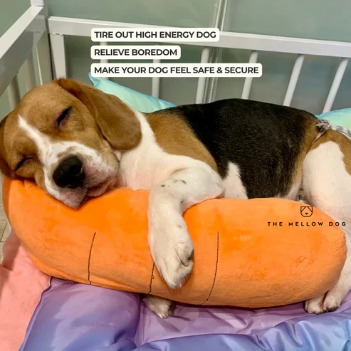ZenChomp™ Calming Dog Toy - Image 3