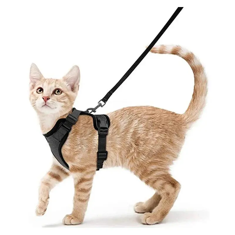 Cat Harness and Leash for Walking – Escape Proof, Soft &amp; Adjustable Vest Harnesses - Image 10