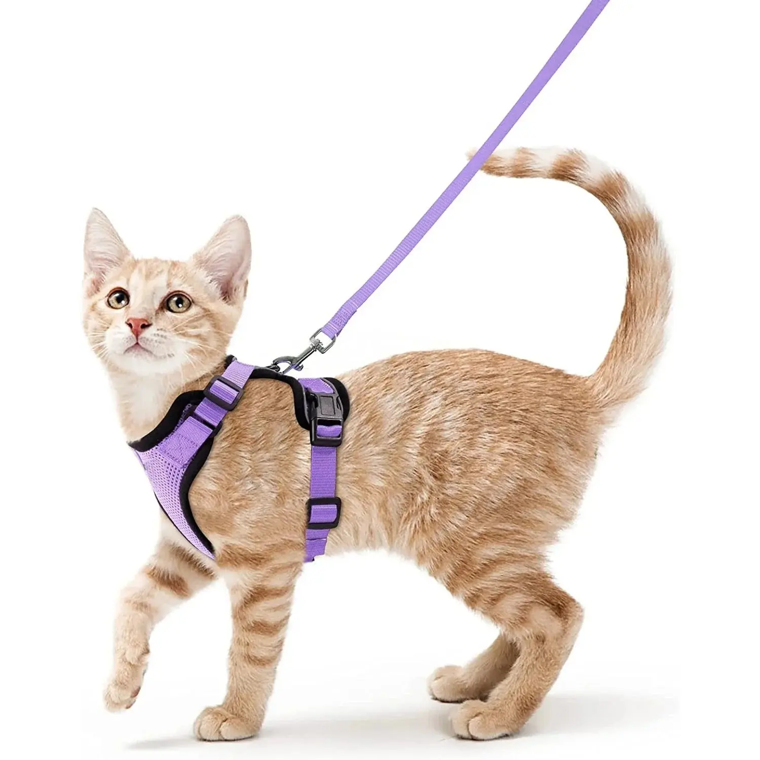 Cat Harness and Leash for Walking – Escape Proof, Soft &amp; Adjustable Vest Harnesses - Image 11