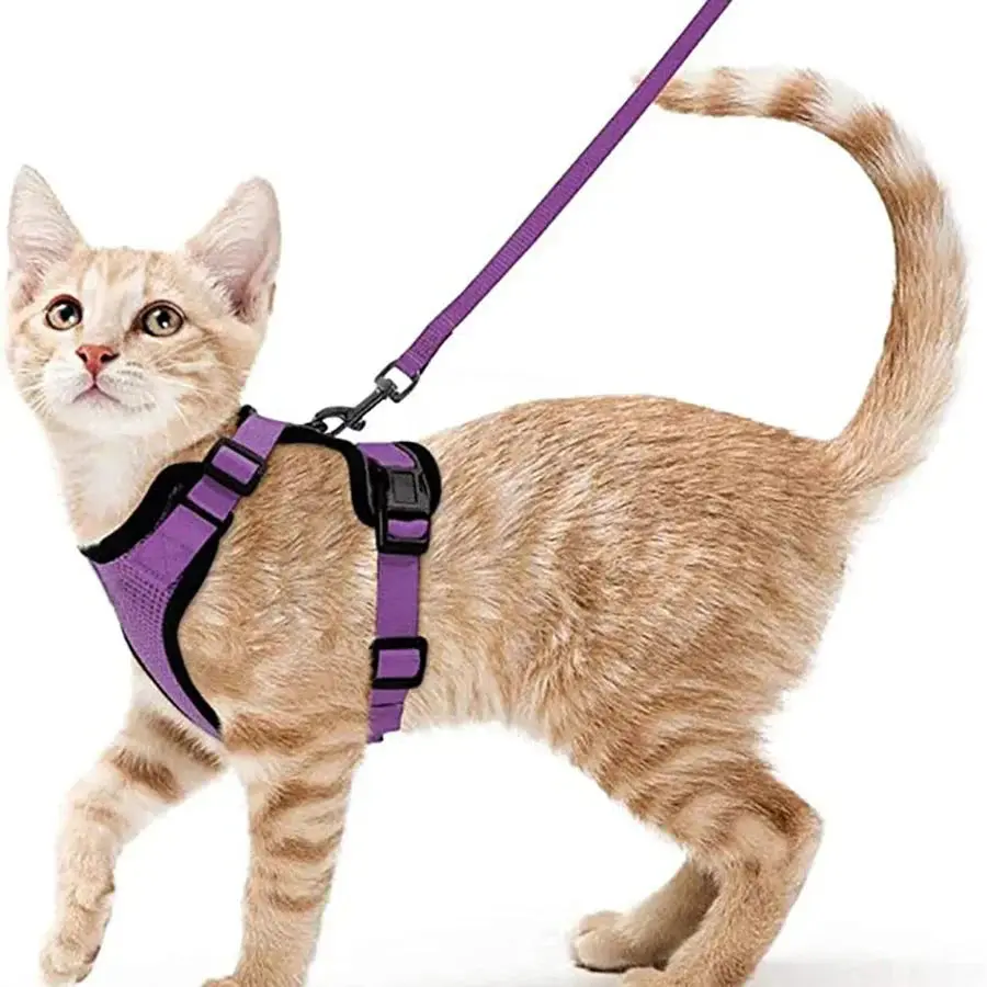 Cat Harness and Leash for Walking – Escape Proof, Soft &amp; Adjustable Vest Harnesses - Image 12