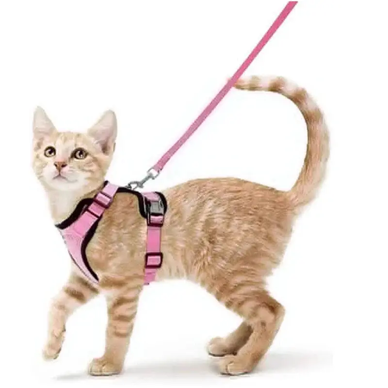 Cat Harness and Leash for Walking – Escape Proof, Soft &amp; Adjustable Vest Harnesses - Image 13