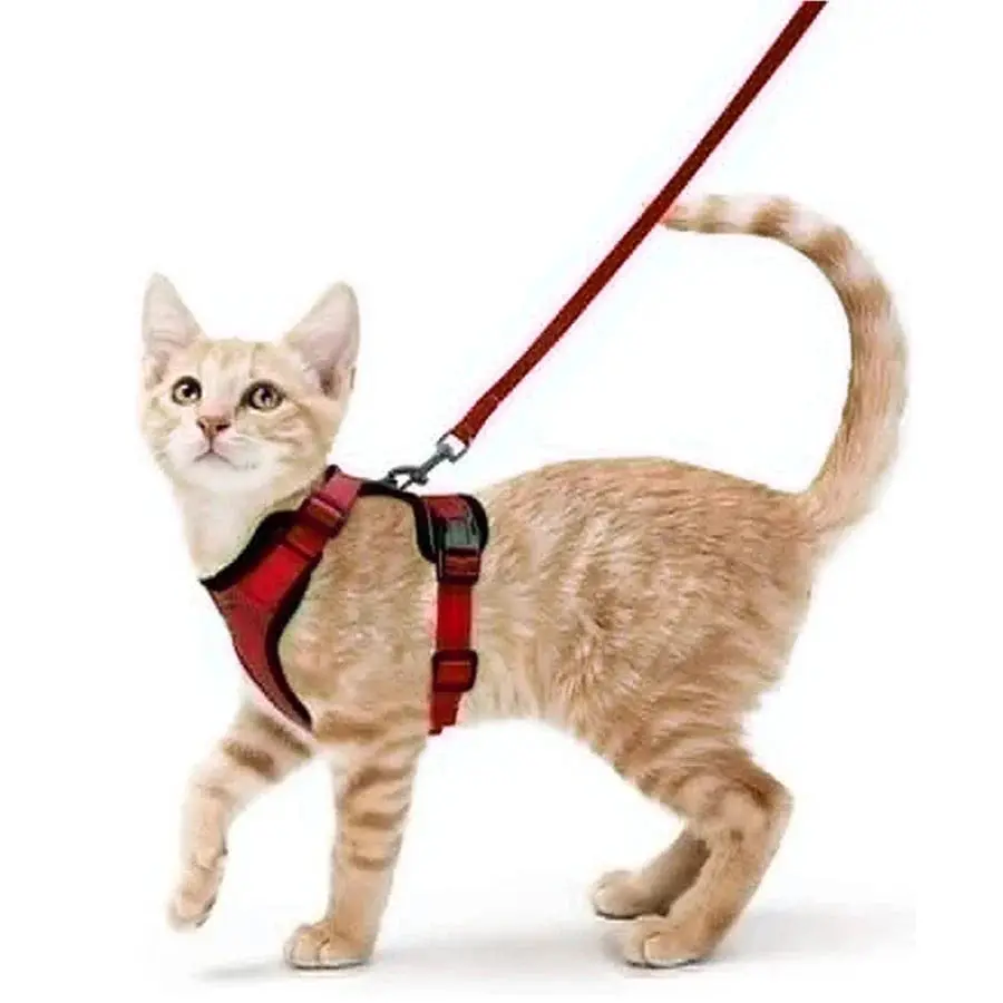 Cat Harness and Leash for Walking – Escape Proof, Soft &amp; Adjustable Vest Harnesses - Image 15