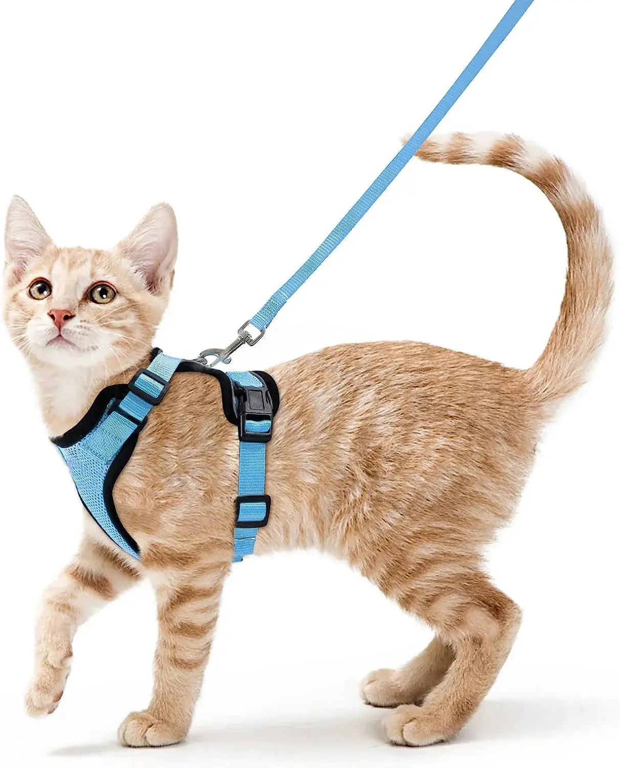 Cat Harness and Leash for Walking – Escape Proof, Soft &amp; Adjustable Vest Harnesses - Image 16