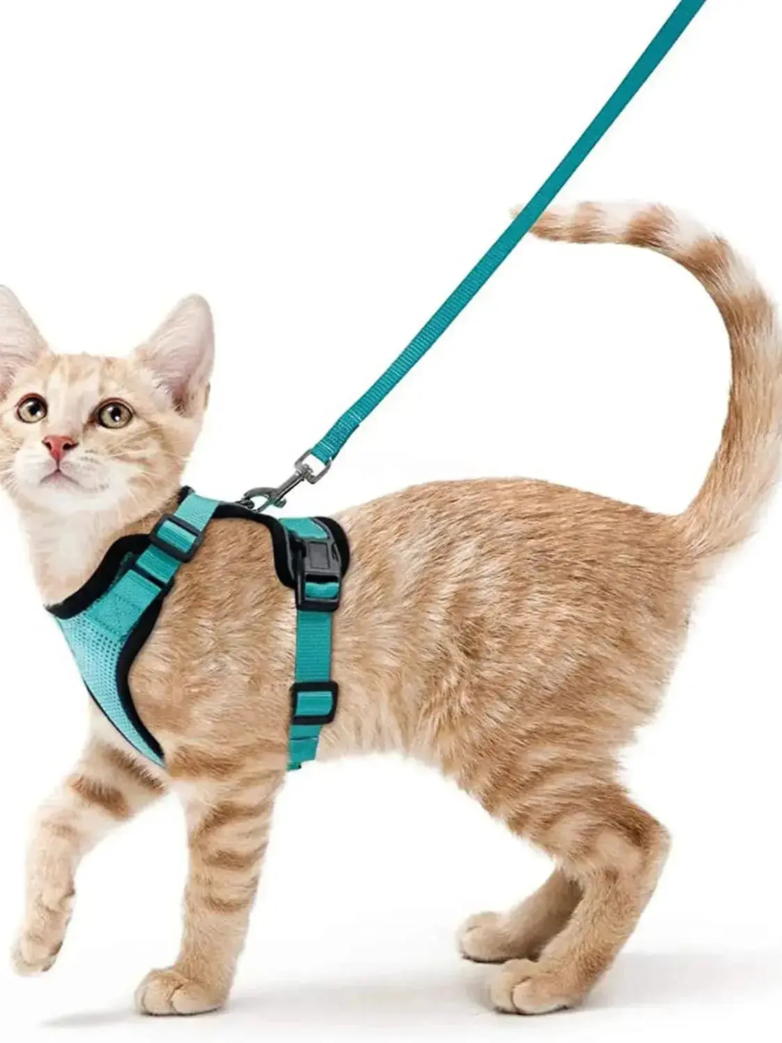 Cat Harness and Leash for Walking – Escape Proof, Soft &amp; Adjustable Vest Harnesses - Image 7
