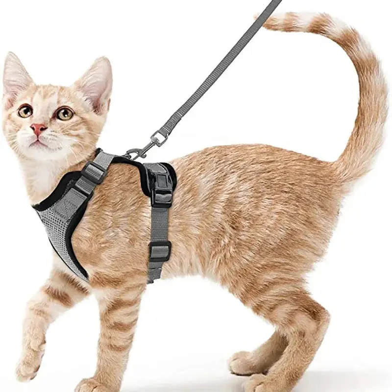 Cat Harness and Leash for Walking – Escape Proof, Soft &amp; Adjustable Vest Harnesses - Image 9