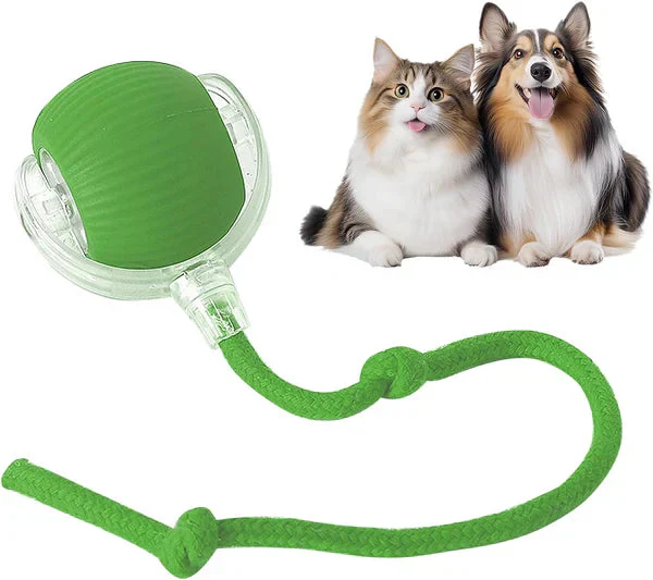 ChewLoon™ - Image 8