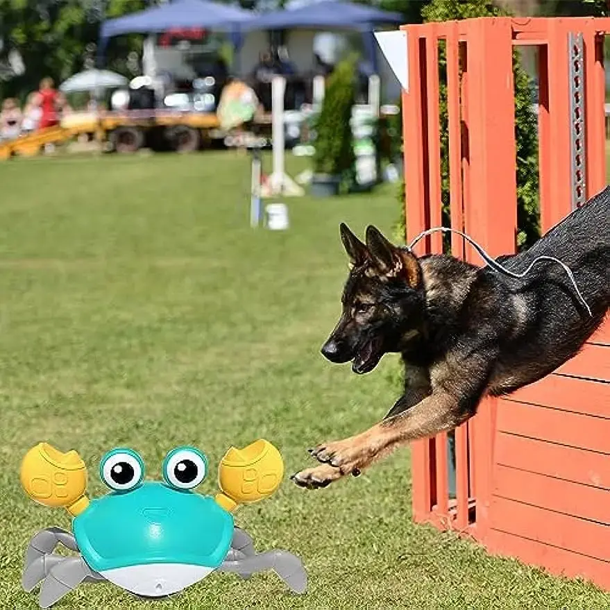 WanderClaw™- Engaging Play Companion for Dogs - Image 2