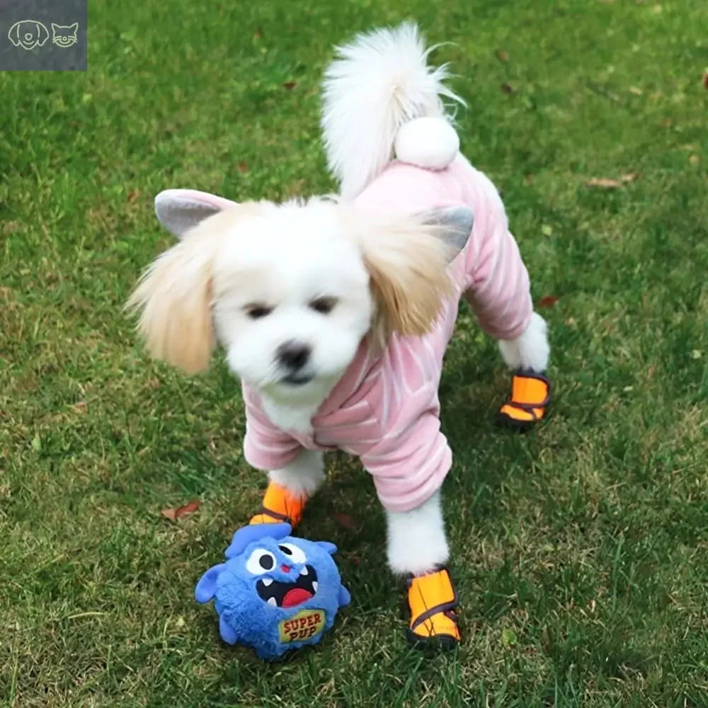 Chewie Viral Bouncing Monster - Image 11