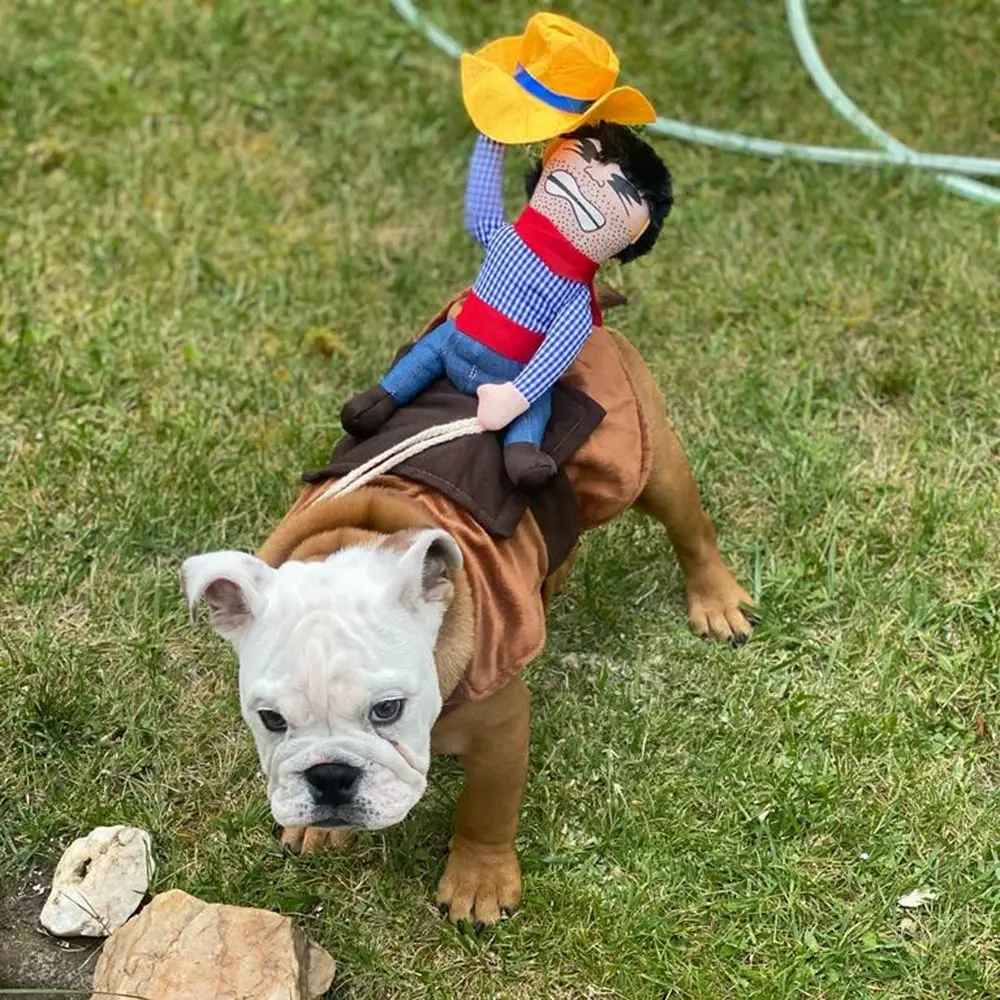 Dog Cowboy Costume - Image 2