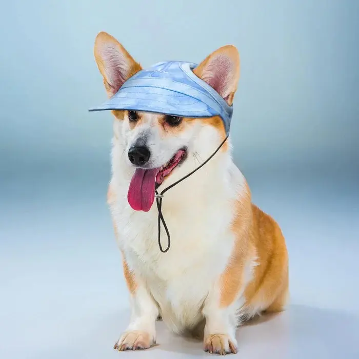 SolarPaws™ Hood