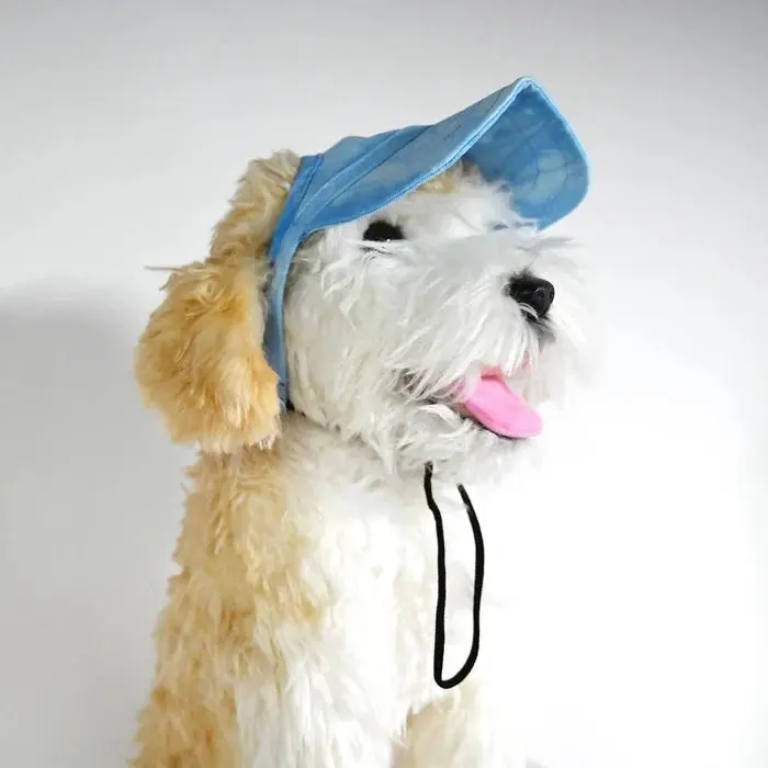 SolarPaws™ Hood - Image 4