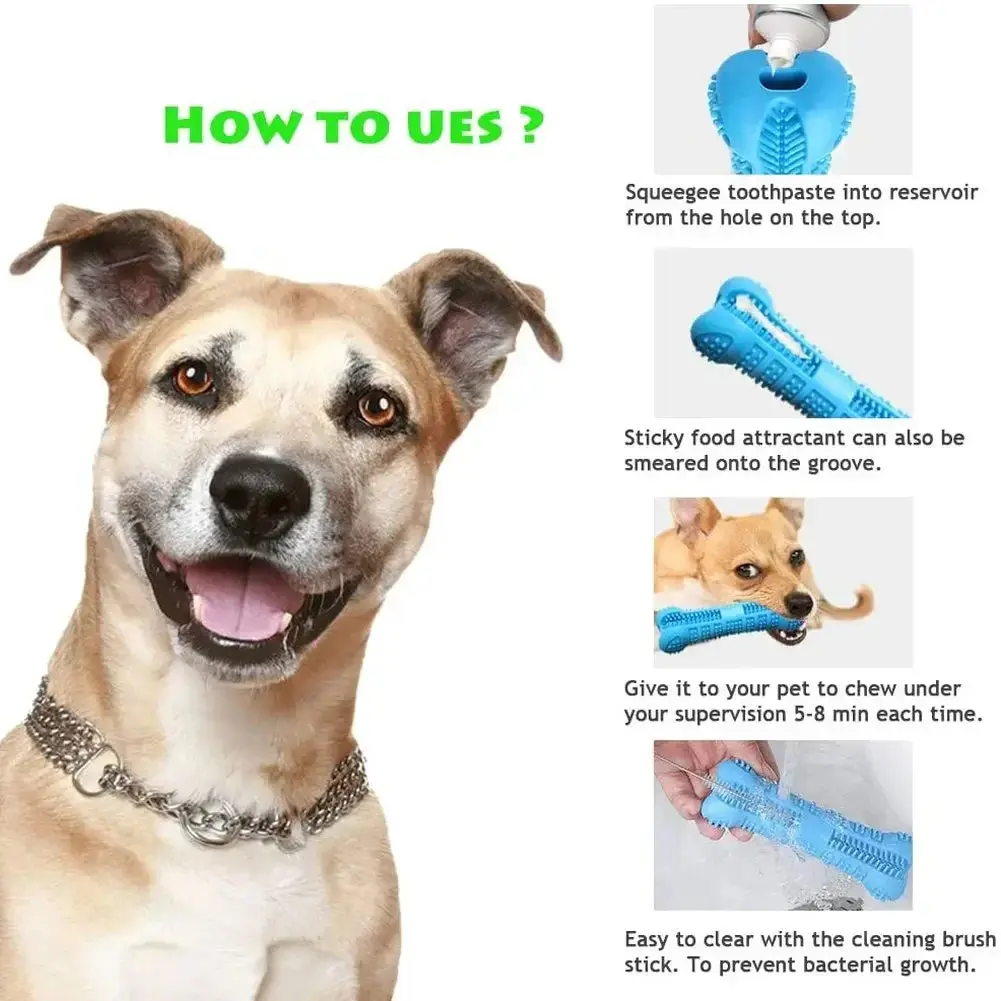 Dog Bone Toothbrush Cleaning - Image 6