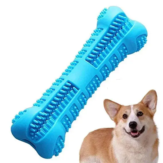 Dog Bone Toothbrush Cleaning - Image 7