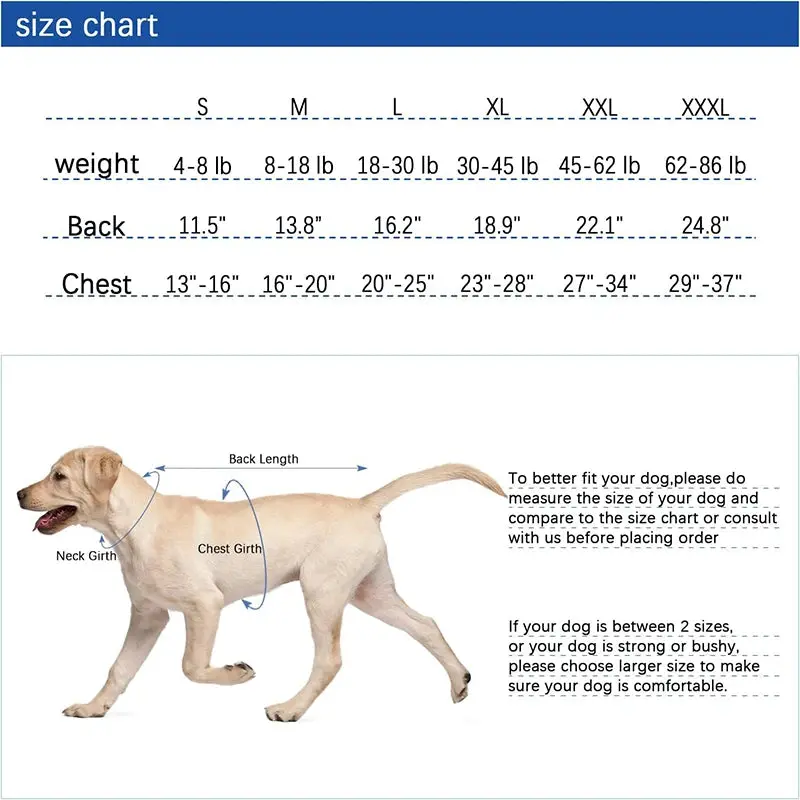 Dog Recovery Suit for Abdominal Wounds – Anti-Licking Onesie - Image 6