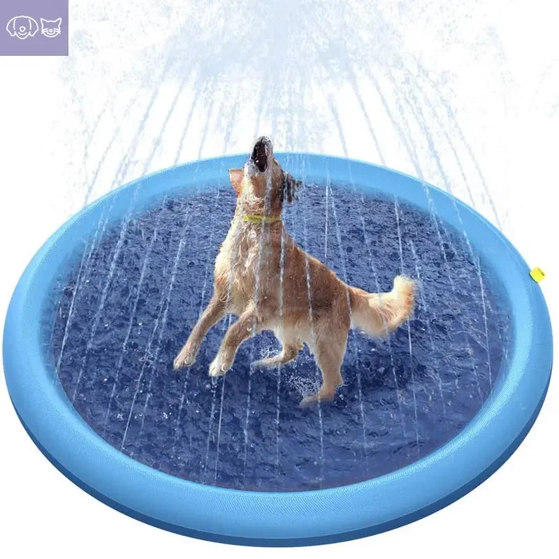 The FidoSplash™ - Image 3
