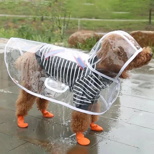RainyWoof™ - Image 2