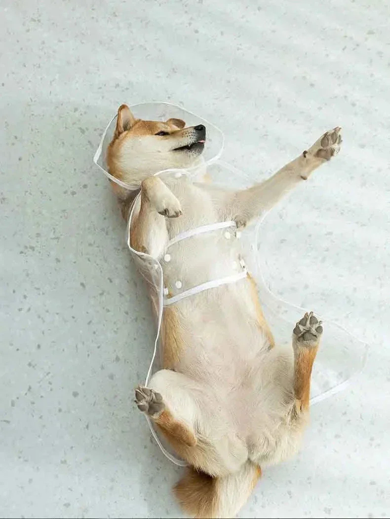 RainyWoof™ - Image 6