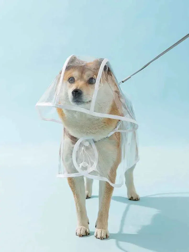 RainyWoof™ - Image 7