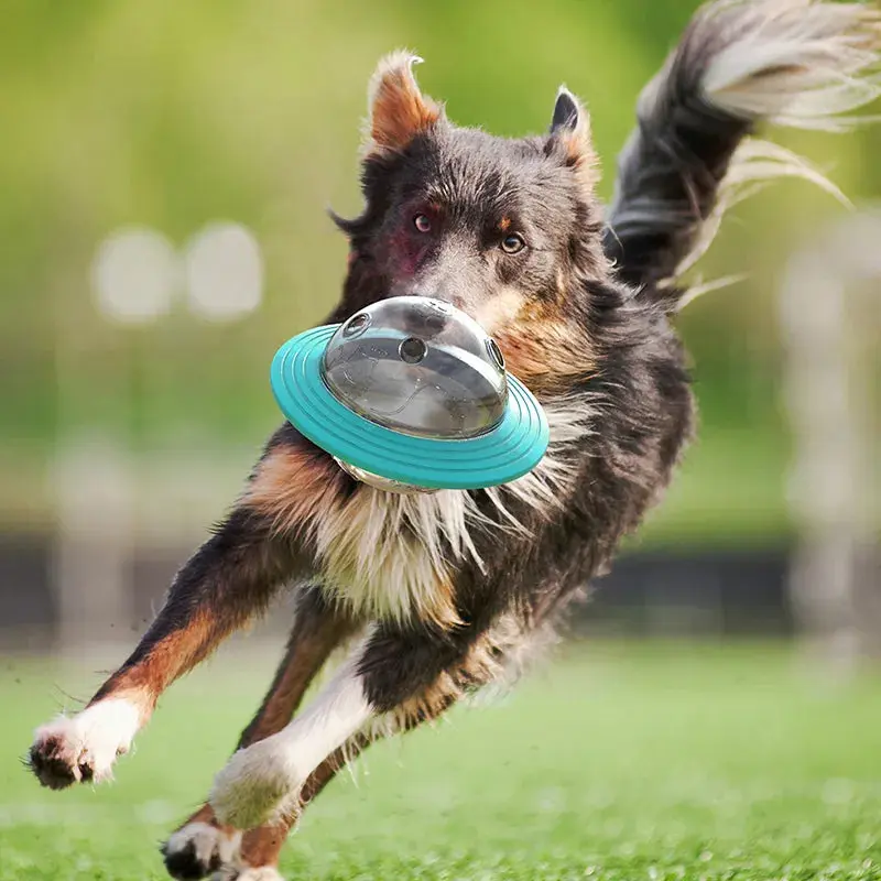 Flying Saucer Dog Slow Food Feeder - Image 4