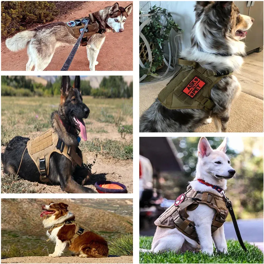 Military Large Dog Durable Harness K9 - Image 5