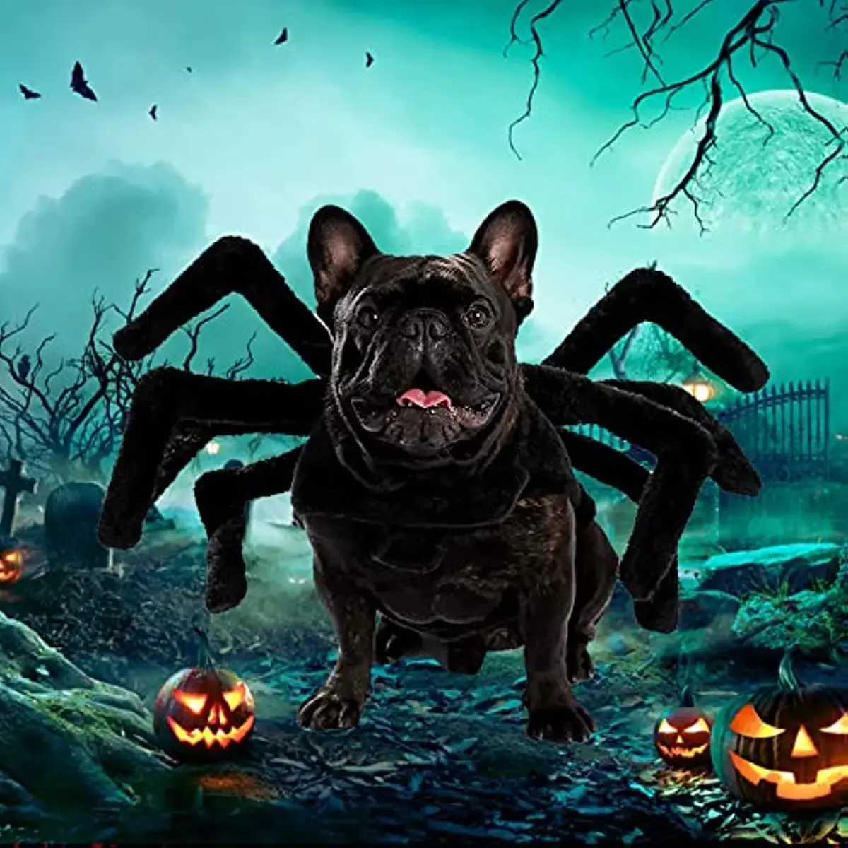 Pet Spider Costume - Halloween Spider Costume for Cats and dogs - Image 4