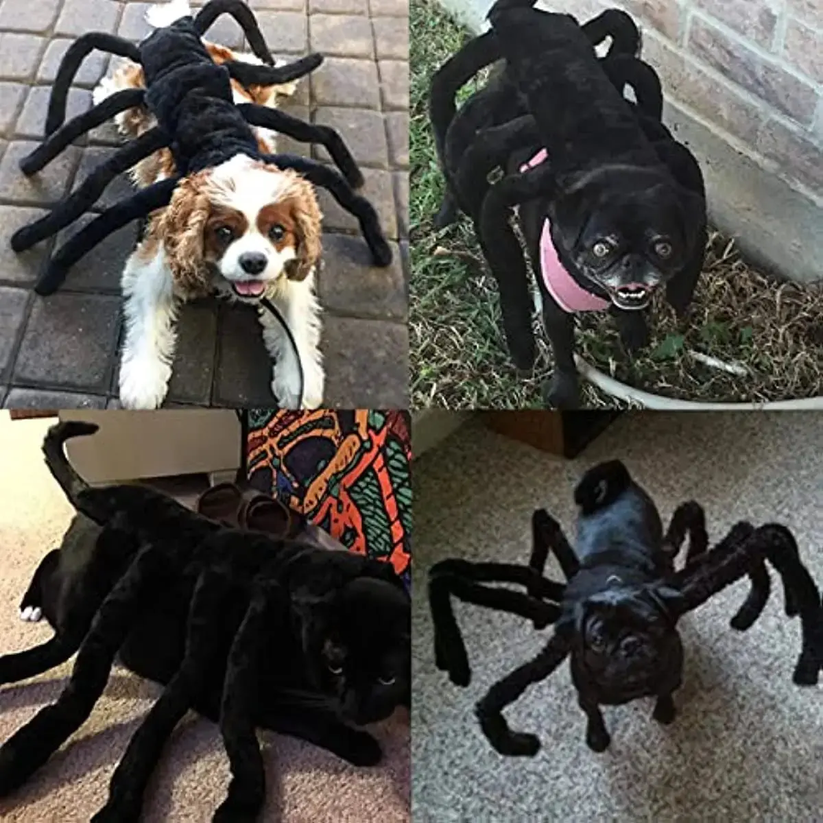 Pet Spider Costume - Halloween Spider Costume for Cats and dogs - Image 5