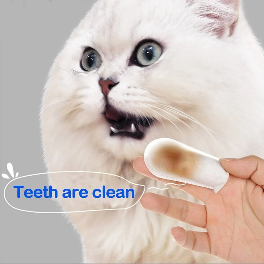 FurEver Fresh™ Gentle Dental Care - Image 3
