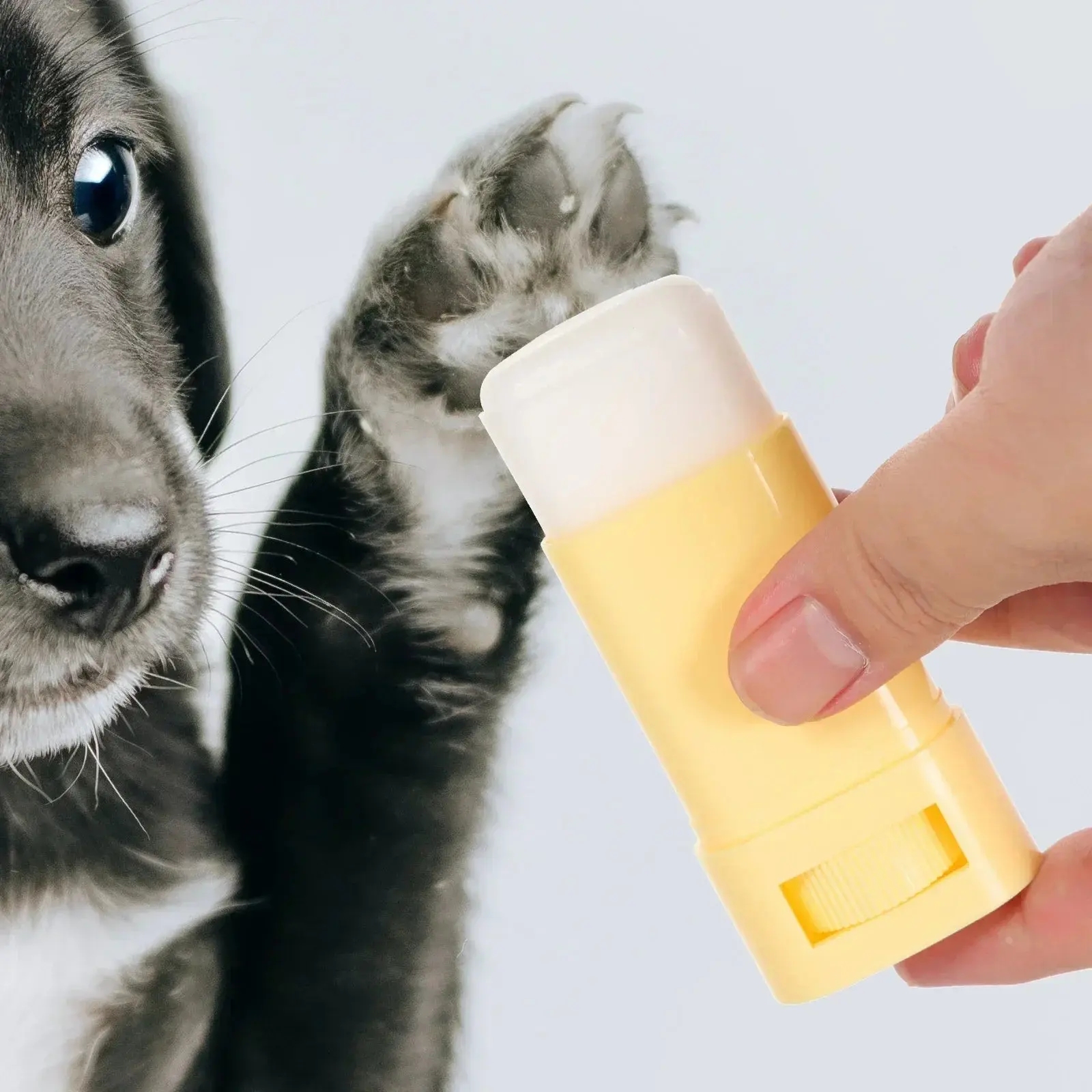 PetPaw Bliss: Winter Care Moisturizer for Cats and Dogs - Image 5