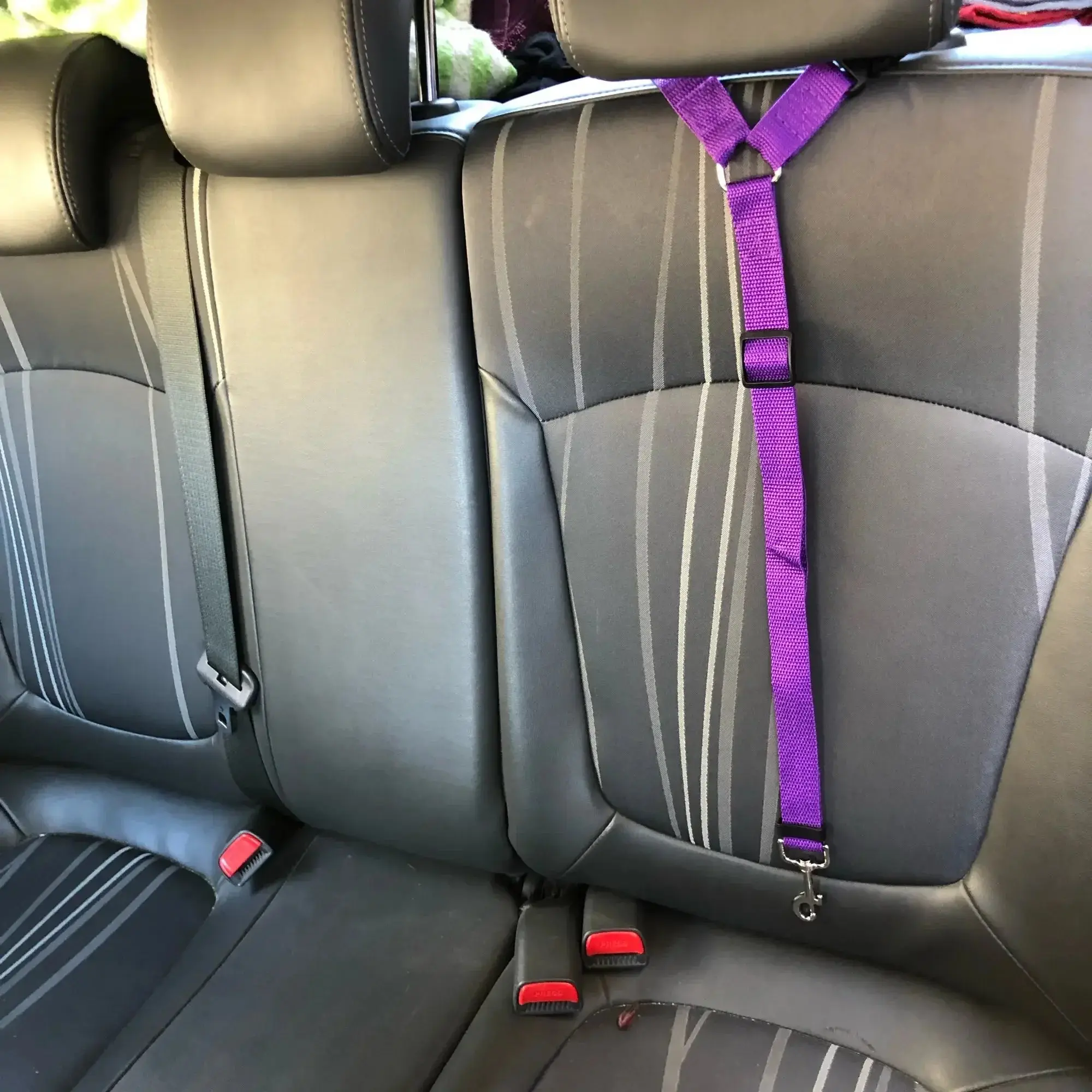 PawSecure™ Adjustable Leash - Image 2
