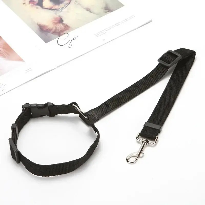 PawSecure™ Adjustable Leash - Image 6