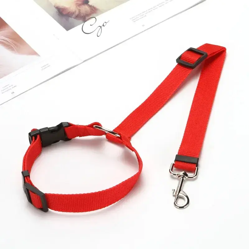 PawSecure™ Adjustable Leash - Image 9