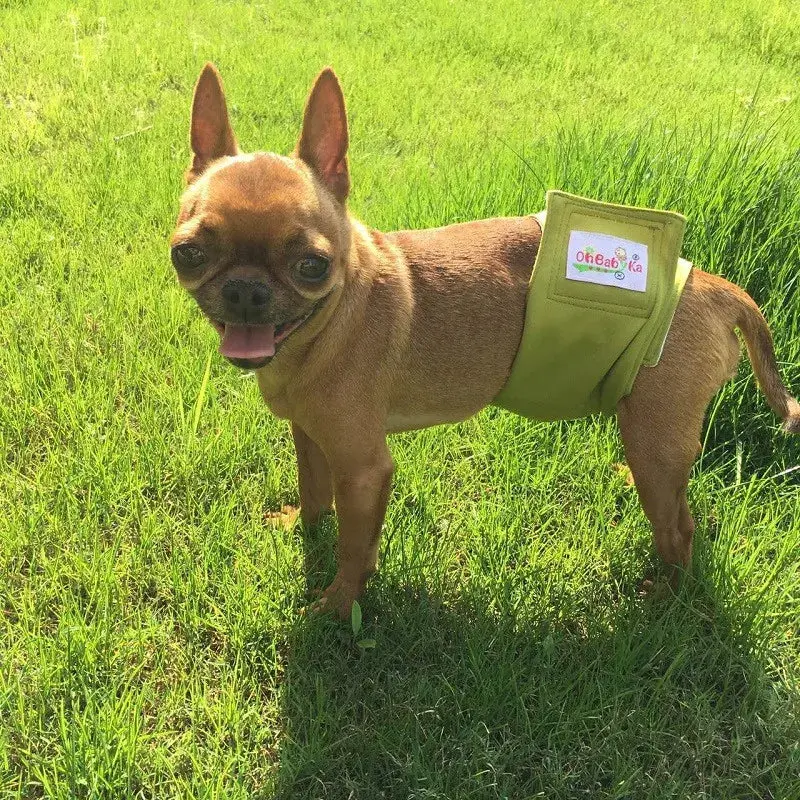 Washable Dog Belly Band – Absorbent Adjustable Diapers for Male Dogs - Image 4
